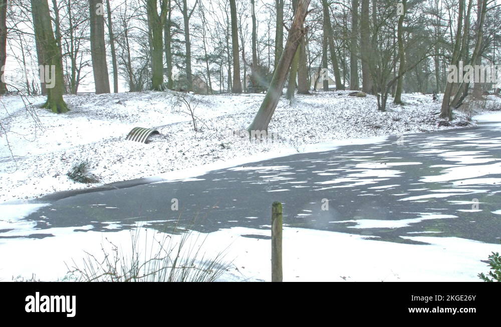 Shell crater wwi Stock Videos & Footage - HD and 4K Video Clips - Alamy