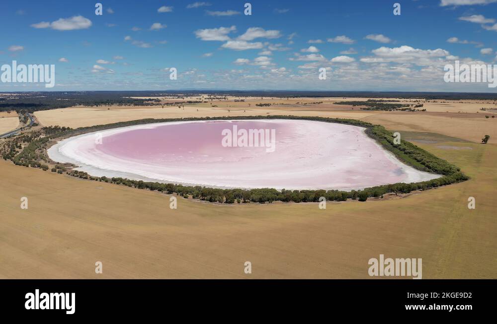 Algae lake victoria Stock Videos & Footage HD and 4K Video Clips Alamy