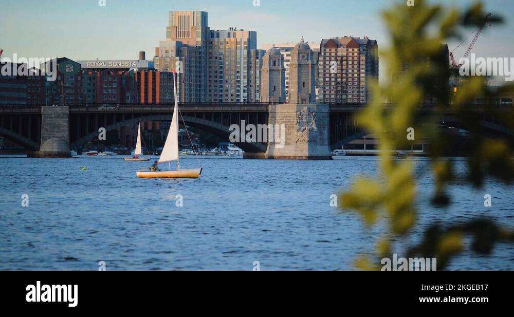 Sailboat in Boston Harbor, Skyline Architecture Behind Stock Video Footage Alamy