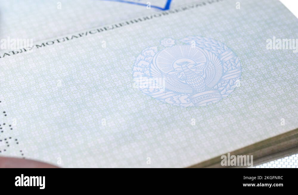 Ban stamp on passport Stock Videos & Footage HD and 4K Video Clips
