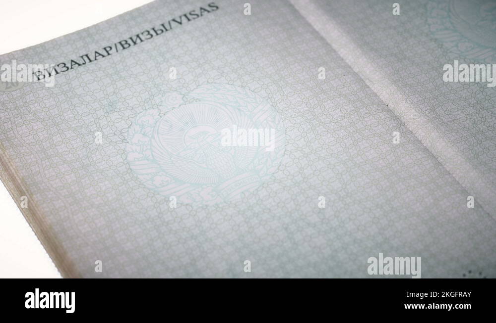 put a stamp in the passport Russia visa, approved Stock Video Footage
