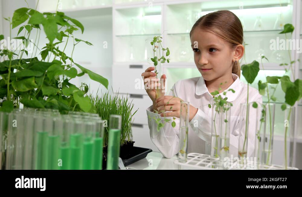 School lab science class Stock Videos & Footage HD and 4K Video Clips