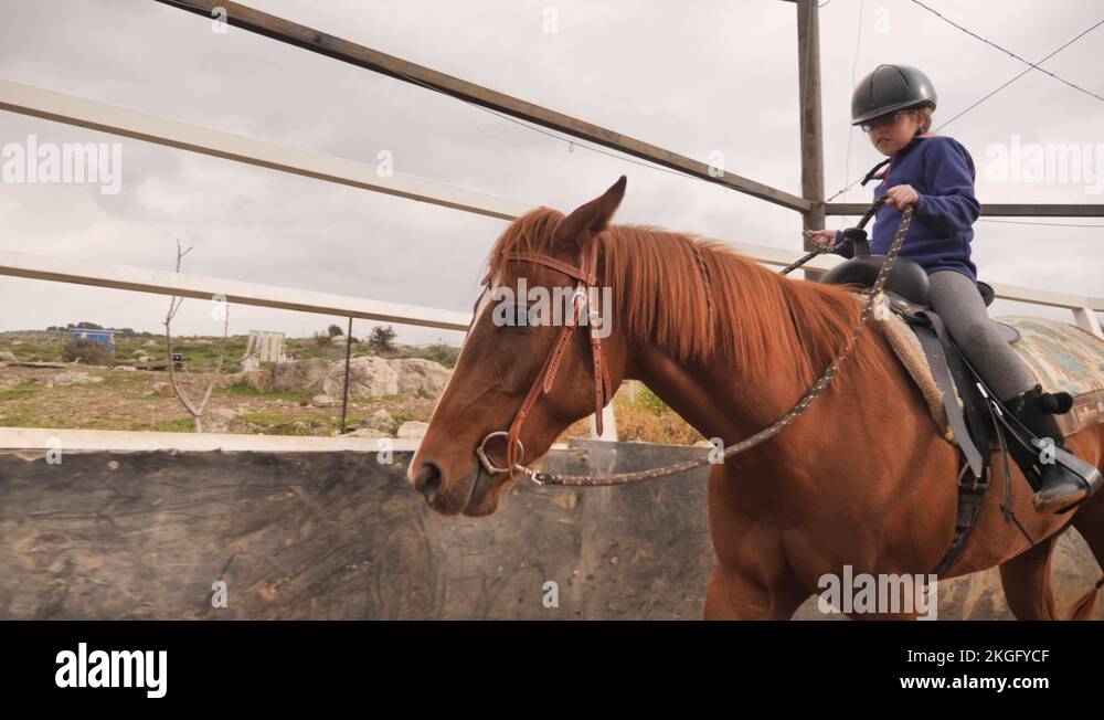 Girl riding a horse in a riding stable Stock Videos & Footage - HD and ...