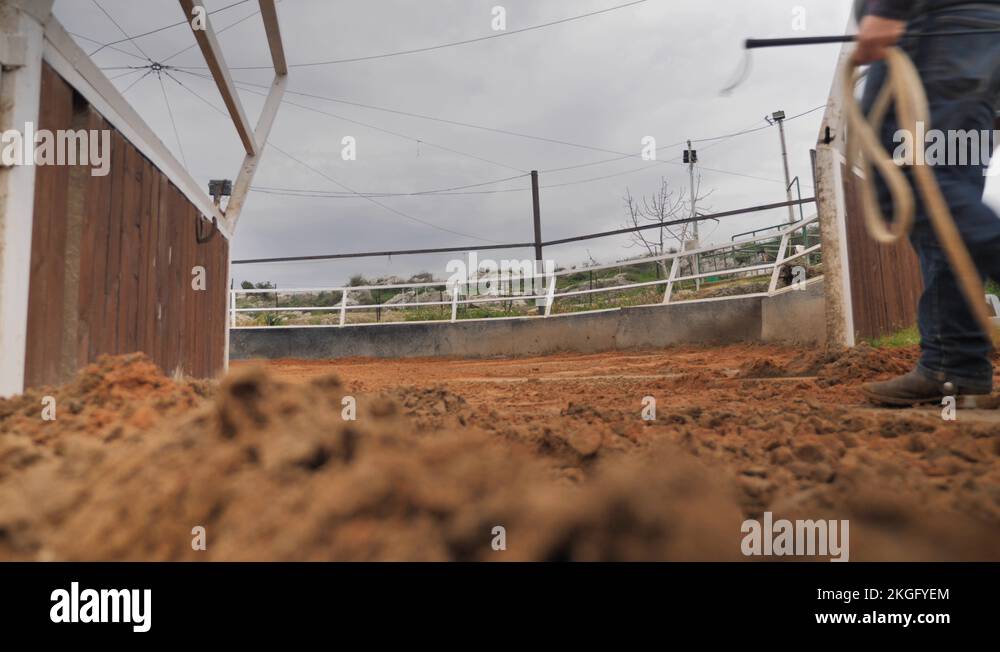 Horse trainer Stock Videos & Footage HD and 4K Video Clips Alamy