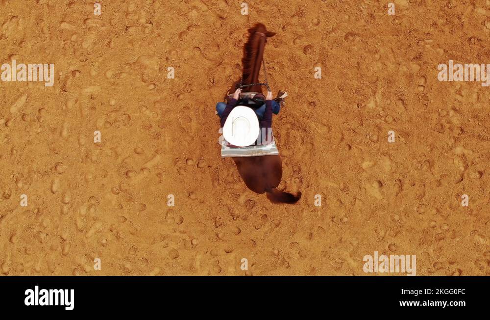 Horse Rotating During Pivot Foot Horse Training Stock Video Footage Alamy