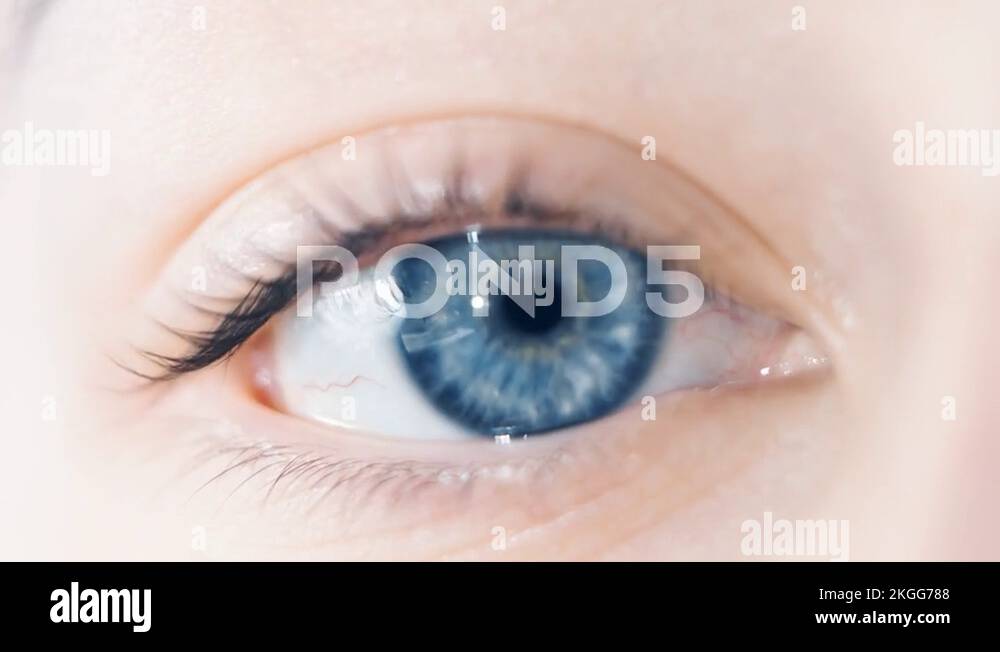 Girl eyeball blue eye, human spherical body Stock Video Footage Alamy