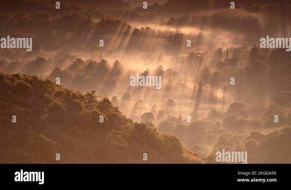 Sunrise with rays landscape Stock Videos & Footage - HD and 4K Video ...