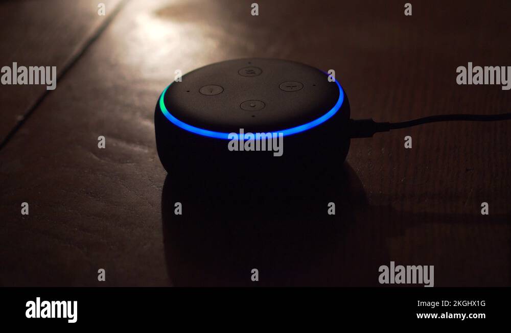 Lights Switched On By Amazon Echo Dot (3rd Gen) Alexa, Voice Command 4K