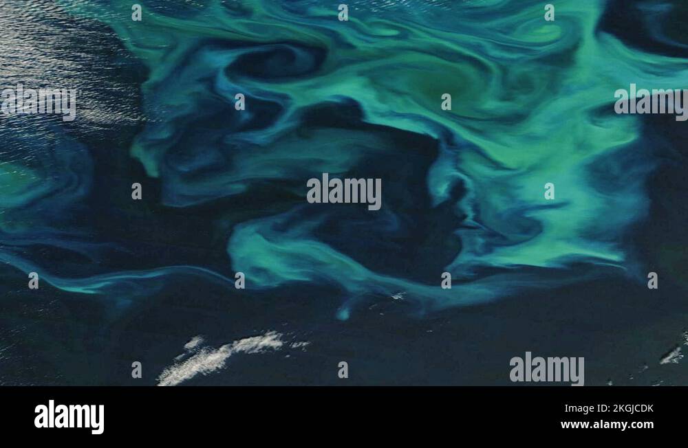 Modis satellite image Stock Videos & Footage - HD and 4K Video Clips ...