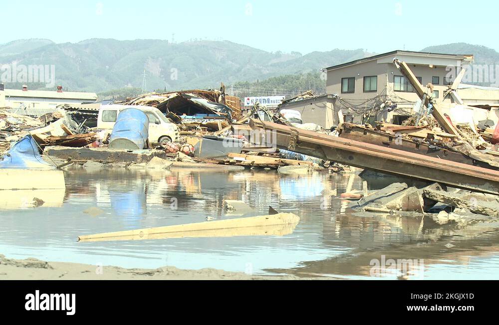 Hawaii tsunami aftermath