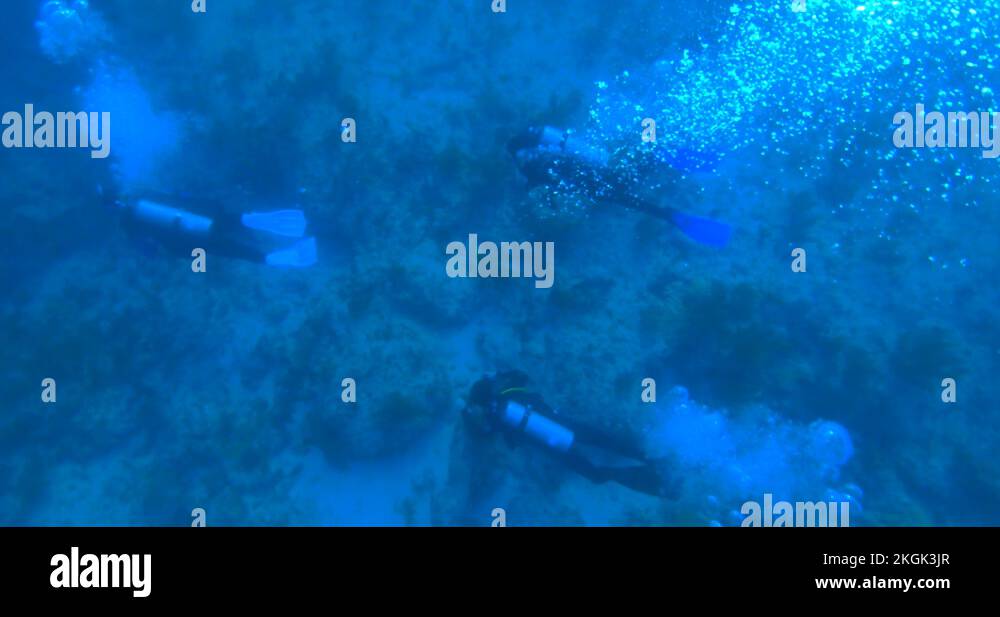 Diving expedition Stock Videos & Footage HD and 4K Video Clips Alamy