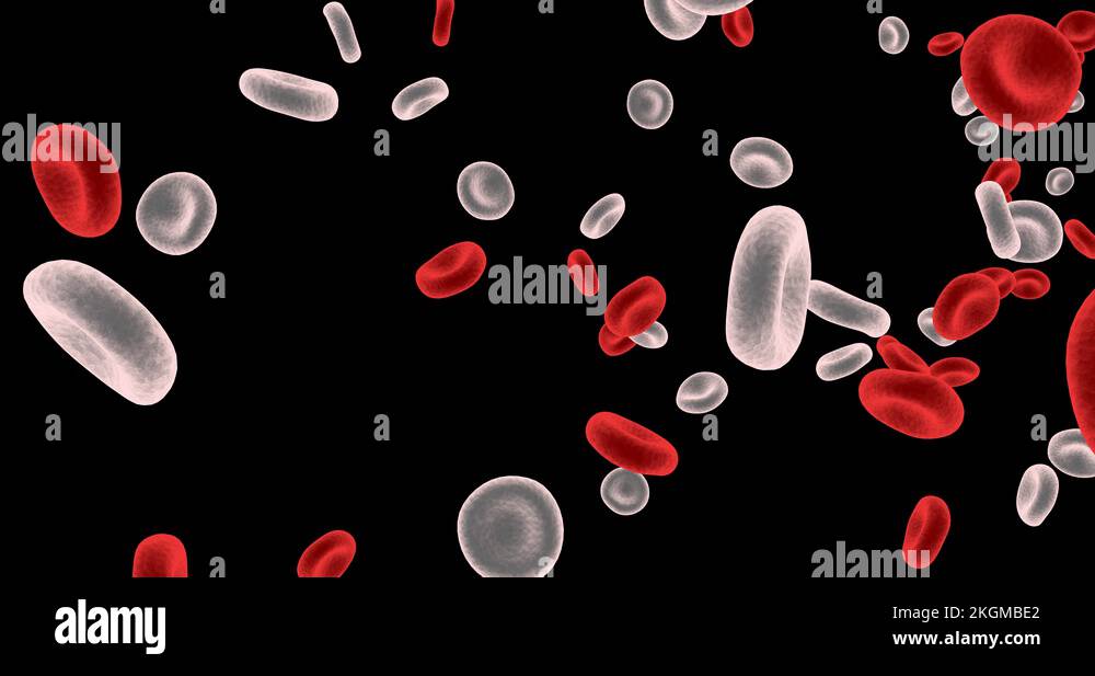 Circulation of the blood Stock Videos & Footage - HD and 4K Video Clips ...
