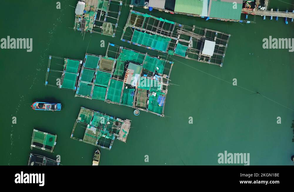 Fish farm vietnam Stock Videos & Footage HD and 4K Video Clips Alamy