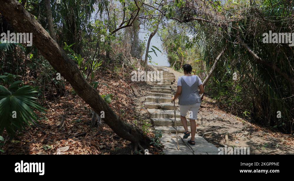 Puntarenas Costa Rica woman climb jungle path steps 4K Stock Video