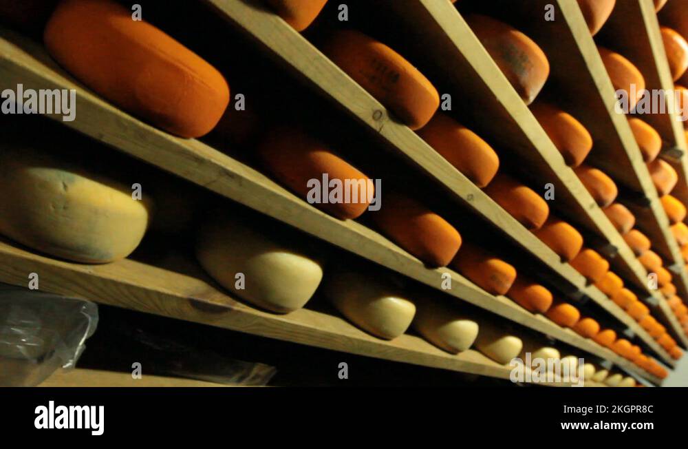 Blue cheese gouda Factory food process parmesan swiss dairy feta france