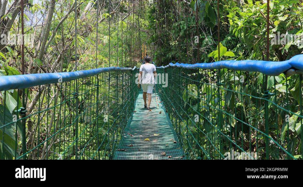 Puntarenas Costa Rica woman suspended foot bridge jungle forest 4K