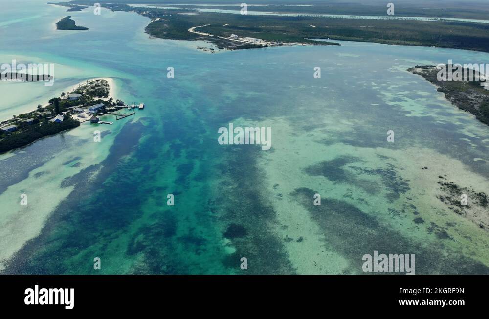 The Crystal Deep Water Cay, East End Grand Bahama, Bahamas Stock Video