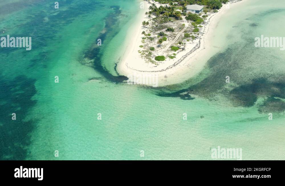 The Crystal Deep Water Cay, East End Grand Bahama, Bahamas Stock Video