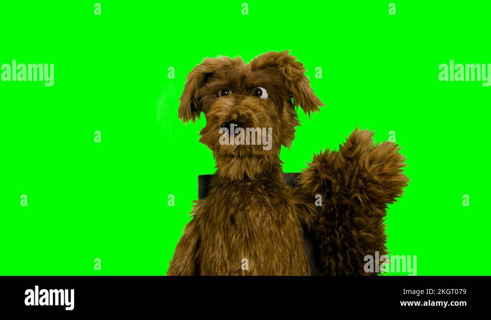 Puppet screen Stock Videos & Footage HD and 4K Video Clips Alamy
