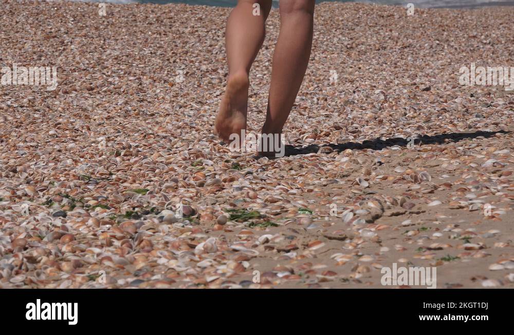 Lovely shells Stock Videos & Footage - HD and 4K Video Clips - Alamy