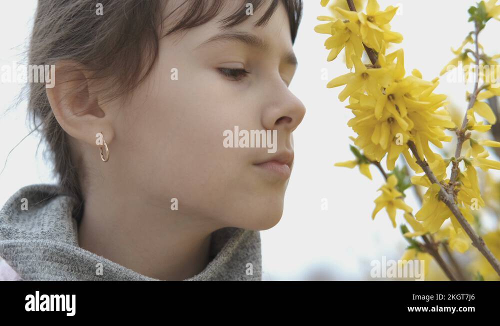 Asthma attack. Pollen allergy Stock Video Footage Alamy