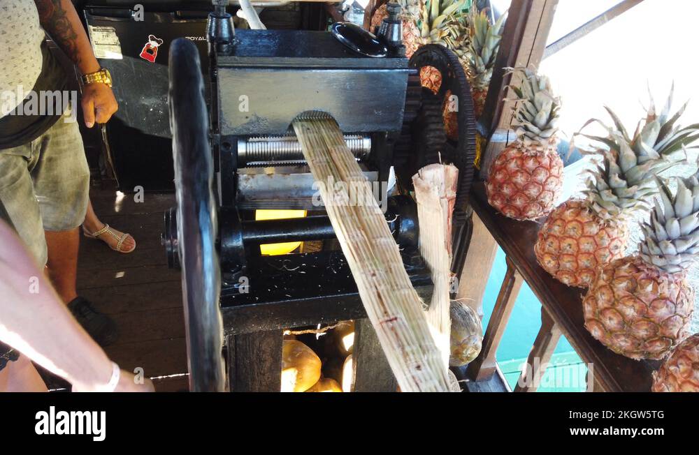 Sugar cane squeezing machine. Man squeezes sugar cane Stock Video