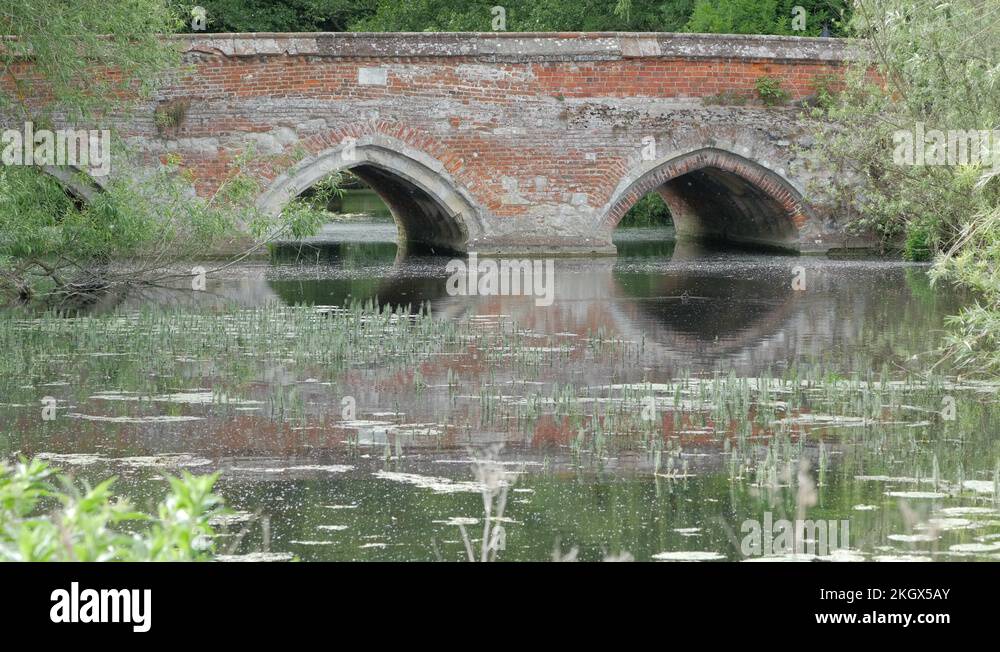 14th century medieval Stock Videos & Footage - HD and 4K Video Clips ...