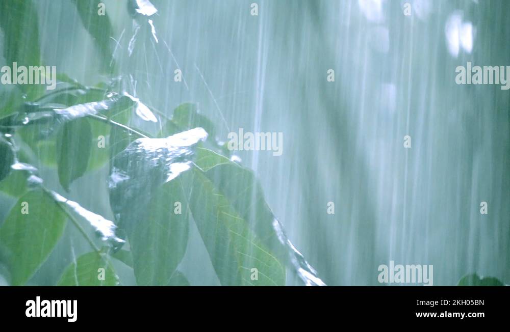 Heavy rain shower downpour cloudburst rainfall comes in the daytime