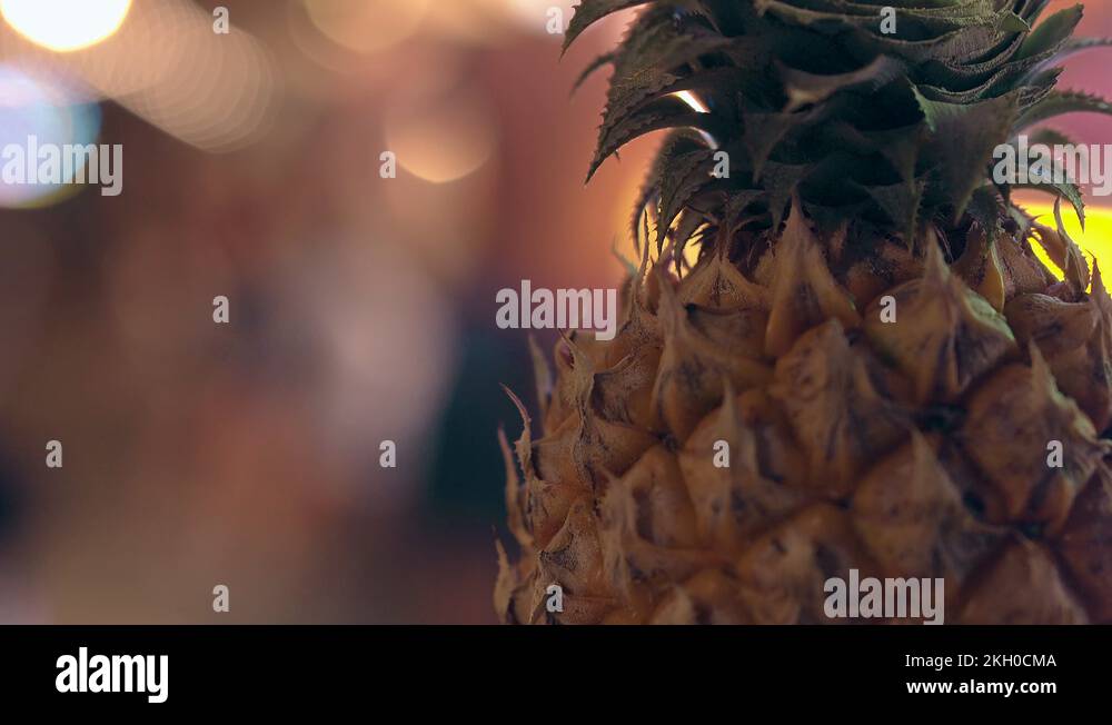 Fresh garland Stock Videos & Footage HD and 4K Video Clips Alamy