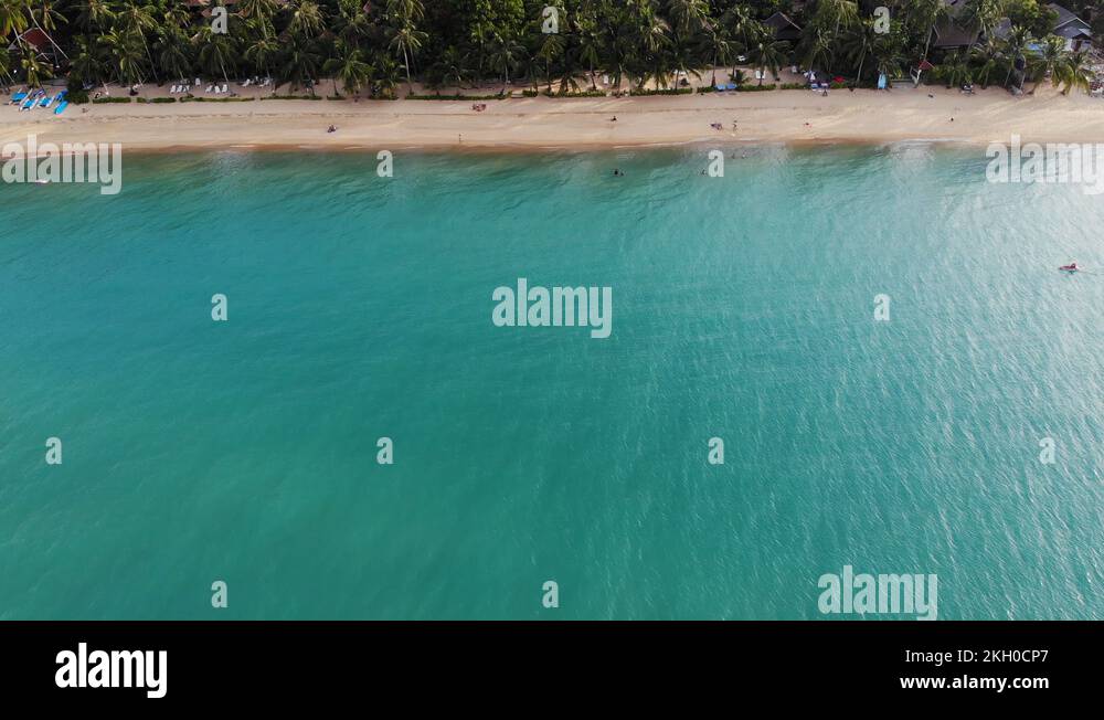Blue lagoon and sandy beach with palms. Aerial view of blue lagoon and