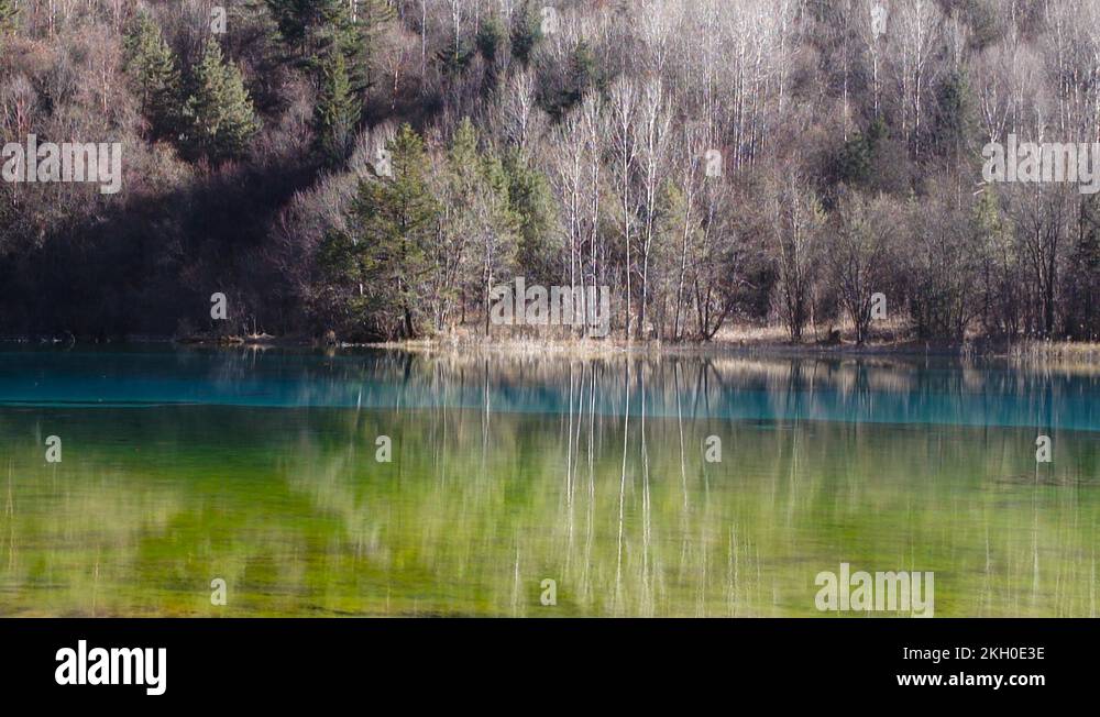 Five flower lake Stock Videos & Footage - HD and 4K Video Clips - Alamy