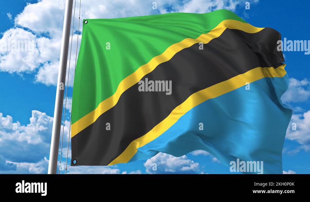 National symbol of tanzania Stock Videos & Footage - HD and 4K Video ...