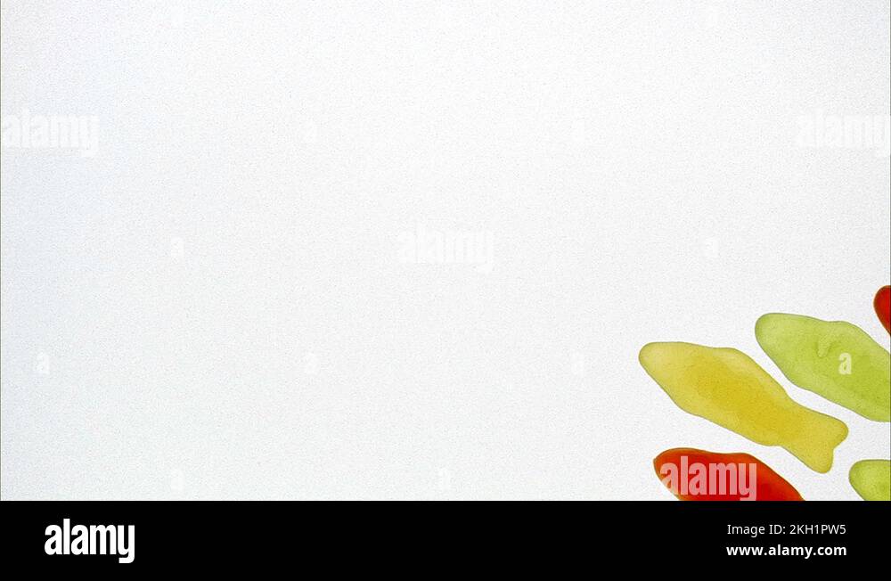 Candy fish fish Stock Videos & Footage HD and 4K Video Clips Alamy