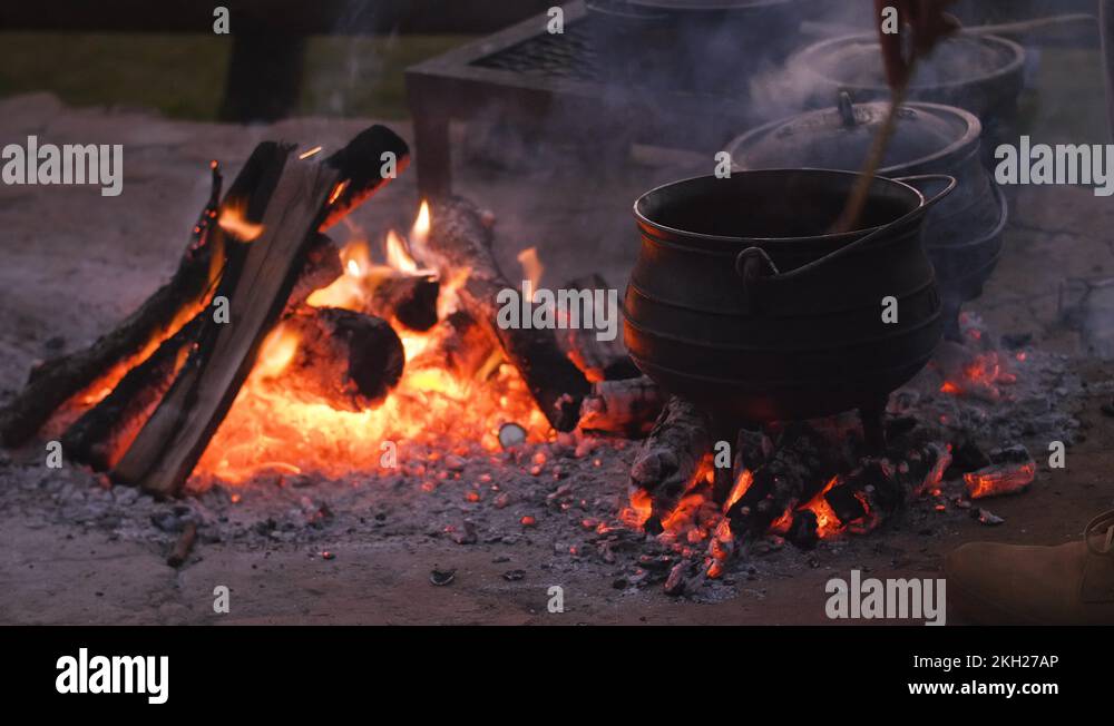 South african dish Stock Videos & Footage - HD and 4K Video Clips - Alamy