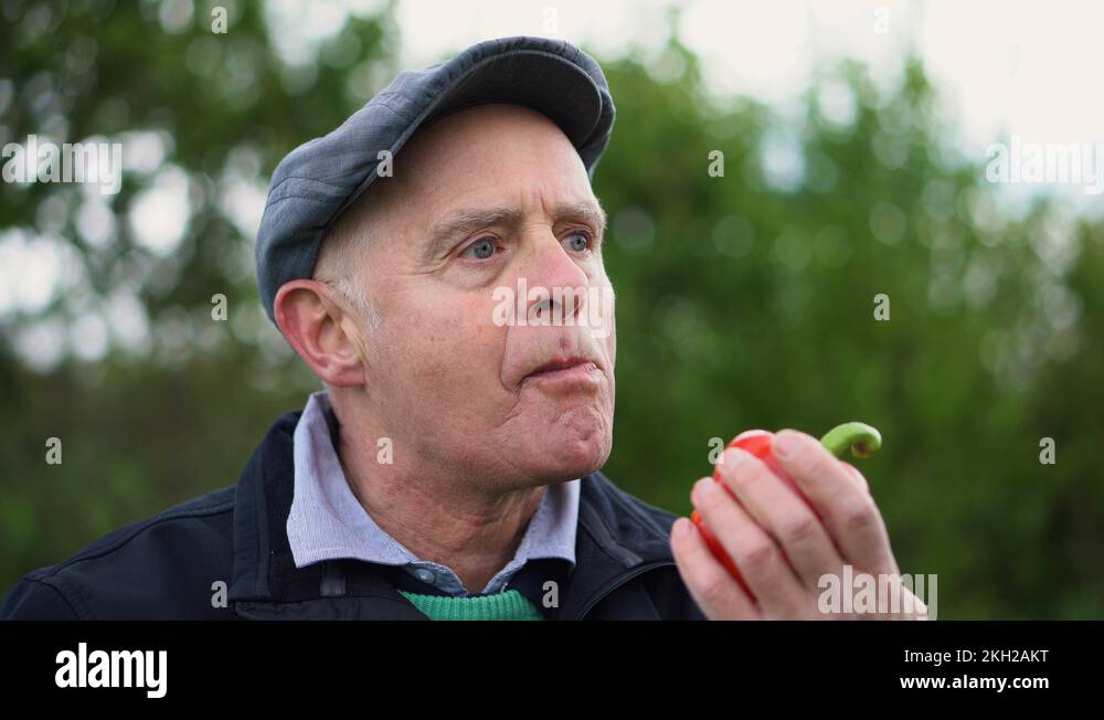 Snack pepper Stock Videos & Footage HD and 4K Video Clips Alamy