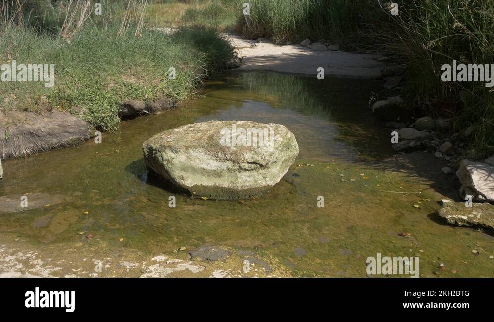 Agua dulce de agua dulce Stock Videos & Footage HD and 4K Video Clips