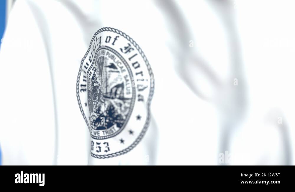 Florida visual data 2