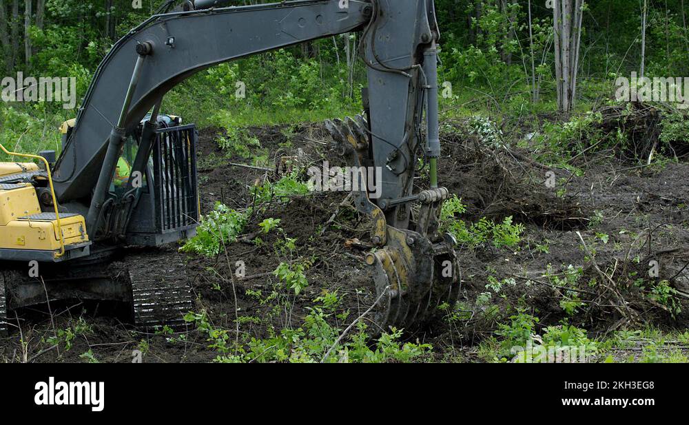 Forest Soil Profile Stock Videos Footage Hd And 4k Video Clips Alamy