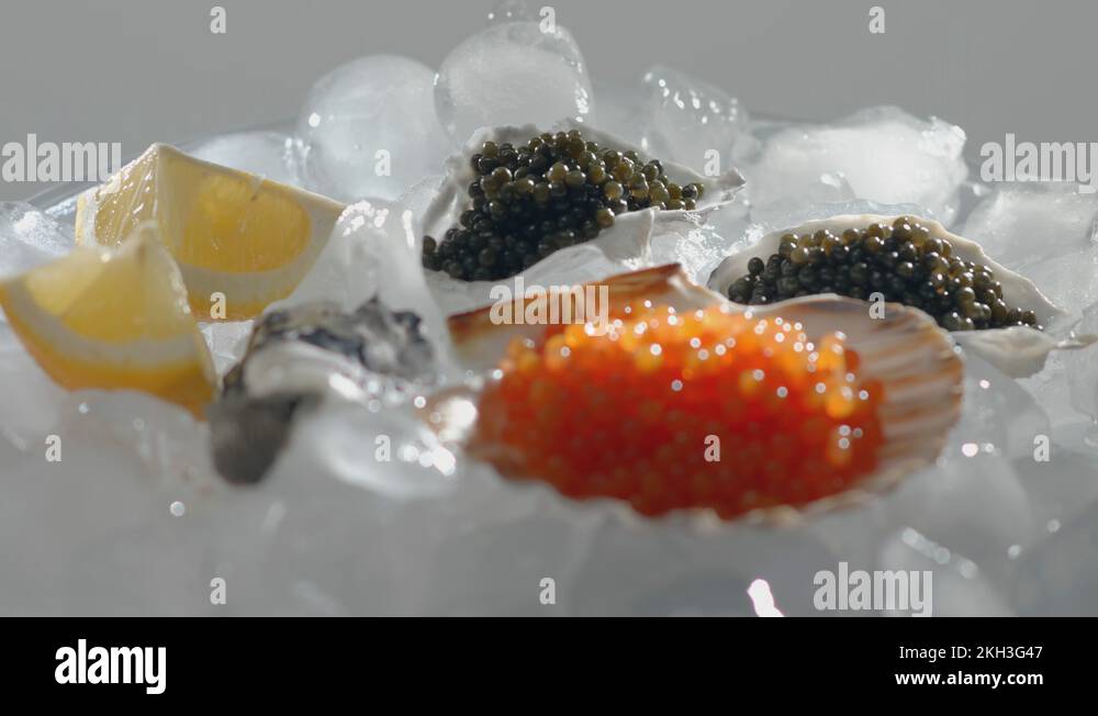 Black Granular Sturgeon Caviar in Oyster. Sturgeon Fish eggs luxury