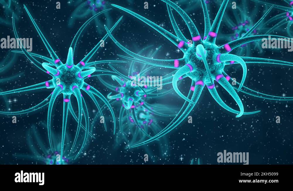 Neural transmission. Neuron receiving and transmitting an impulse Stock