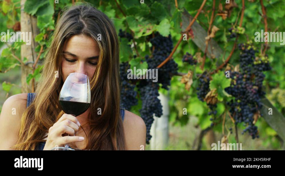 A female winemaker who is trying red wine Stock Video Footage Alamy