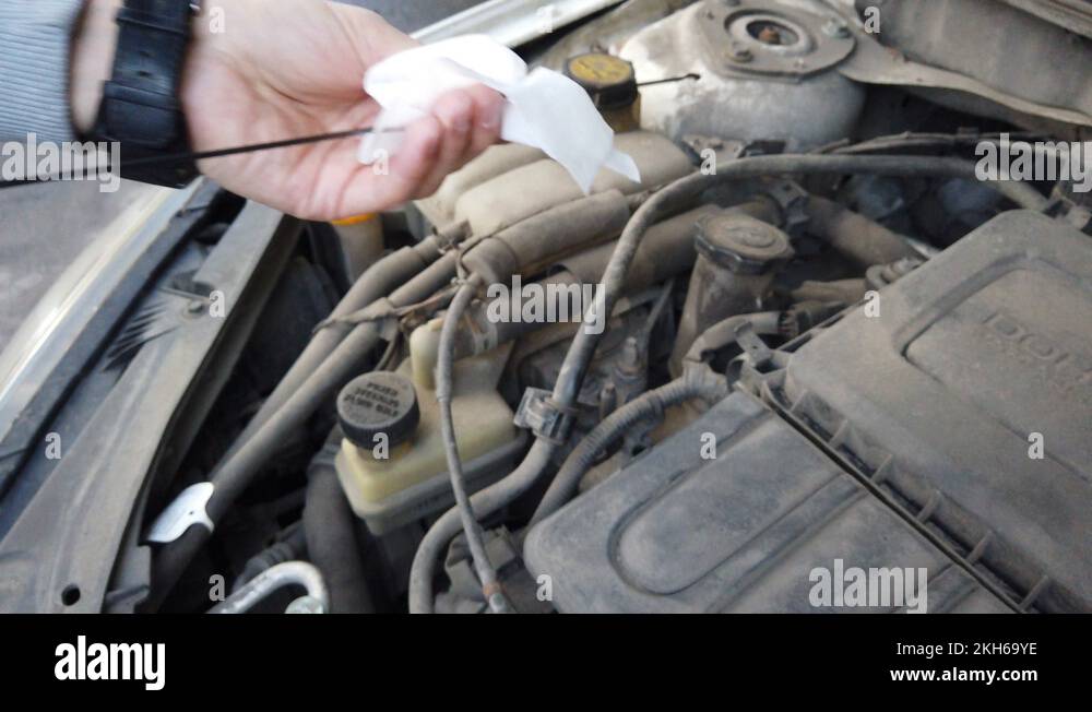 Car oil fill. Checks the car oil level with a dipstick. Replacing and