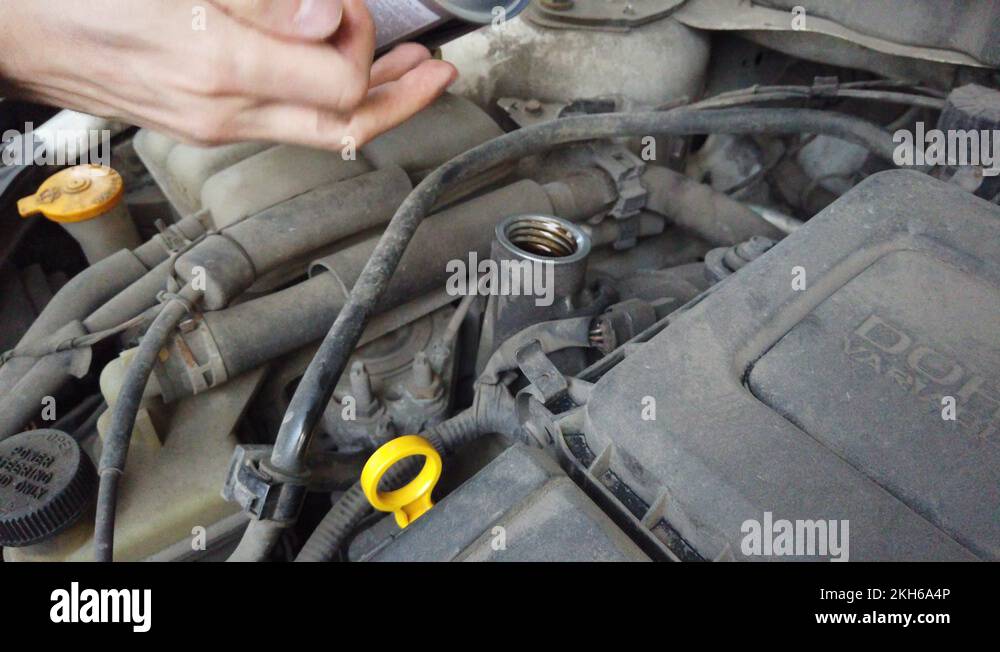 Car oil fill. Checks the car oil level with a dipstick. Replacing and