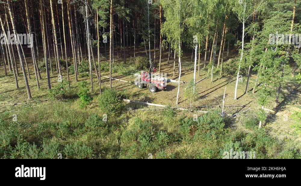 Lumberjack machine Stock Videos & Footage HD and 4K Video Clips Alamy