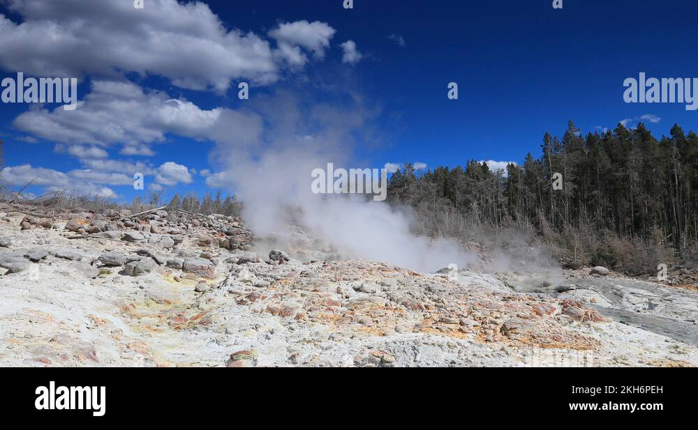 Yellowstone National Park Steamboat - Yellowstone National Park Steamboat Geyser Dead Trees After Eruption 4k 2kh6peh 