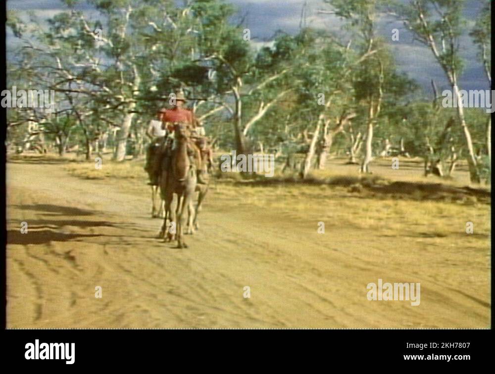 Alice Camel Stock Videos Footage Hd And 4k Video Clips Alamy