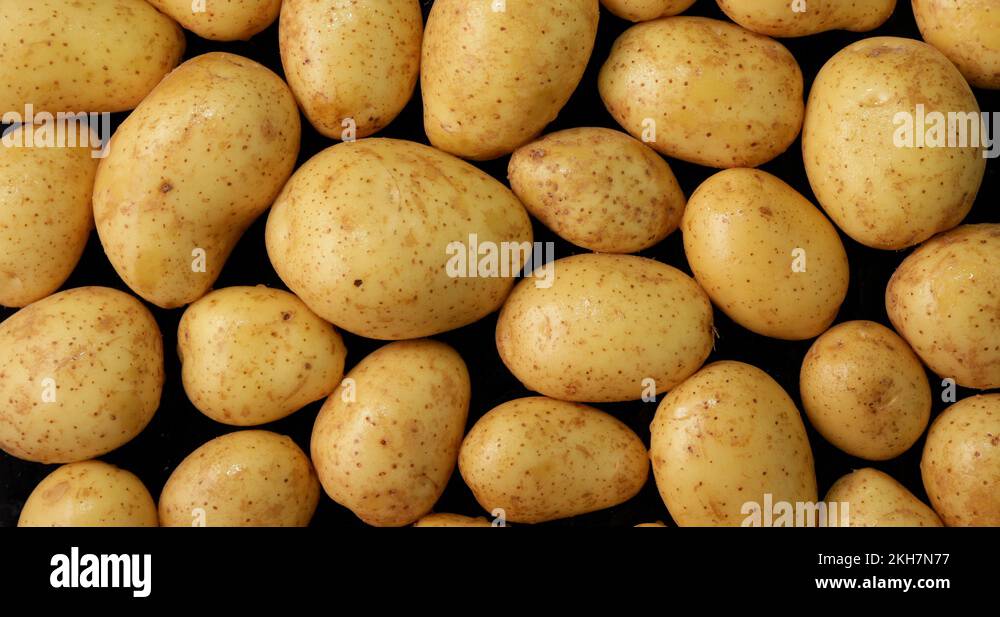 Background of Fresh Potatoes, Slow Zoom In and Rotates, 4K Stock Video