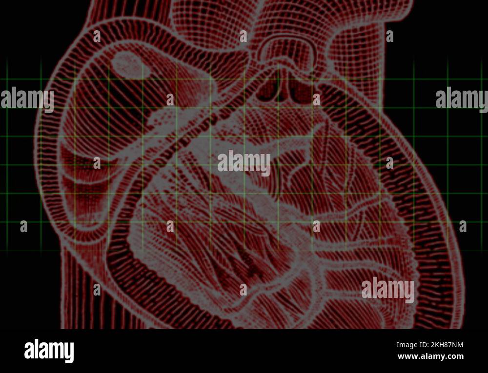 computer animated video clip of a pulse monitor superimposed over a ...