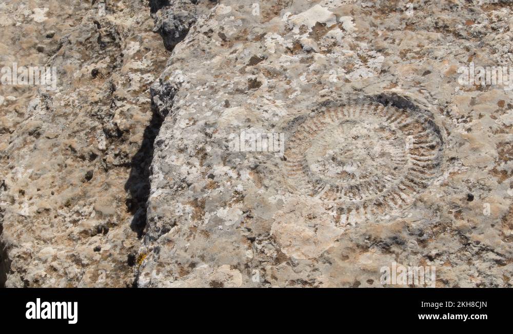 Prehistoric Jagged Rocks Prehistoric rocks Stock Videos & Footage - HD and 4K Video Clips - Alamy