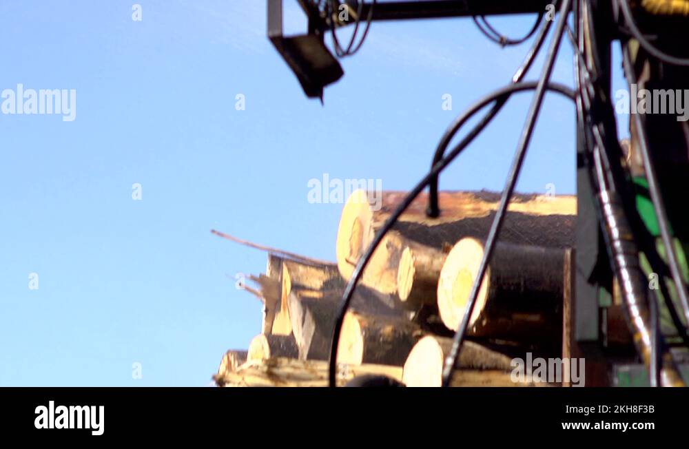 Loading timber Stock Videos & Footage HD and 4K Video Clips Alamy